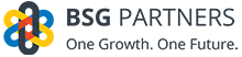 BSG Partners